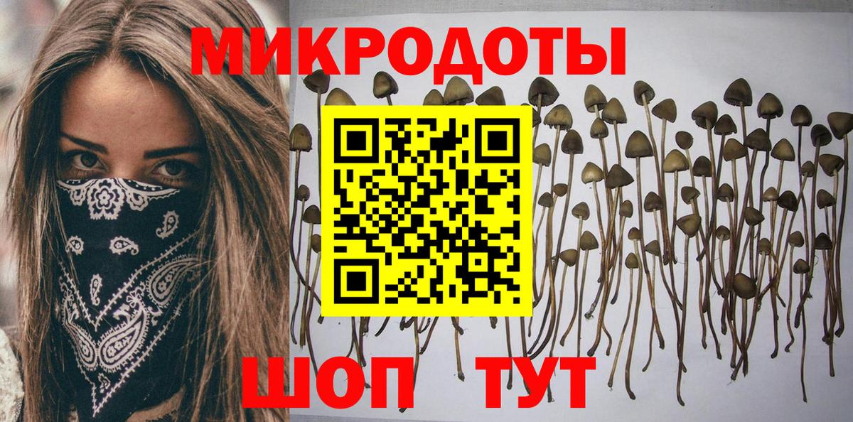 Псилоцибиновые грибы Psilocybe Алексеевка
