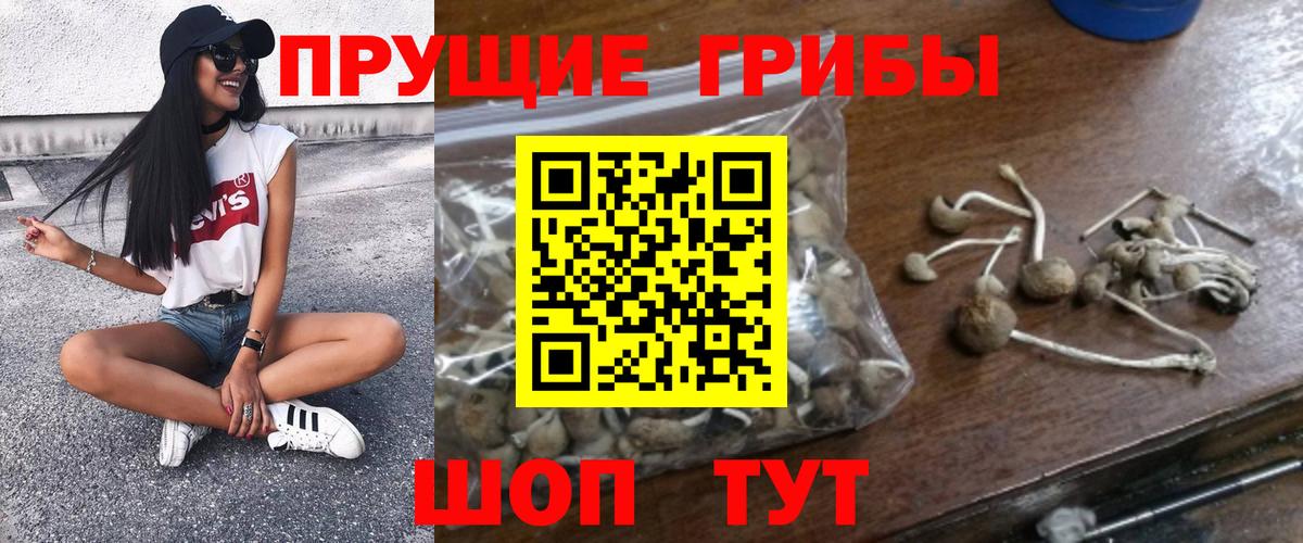 Алексеевка  Псилоцибиновые грибы Magic Shrooms  Вход с VPN 